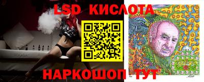 стафф Донецк