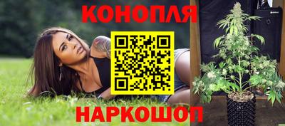стафф Донецк