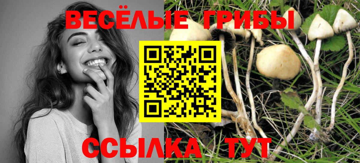 Галлюциногенные грибы мицелий Троицк